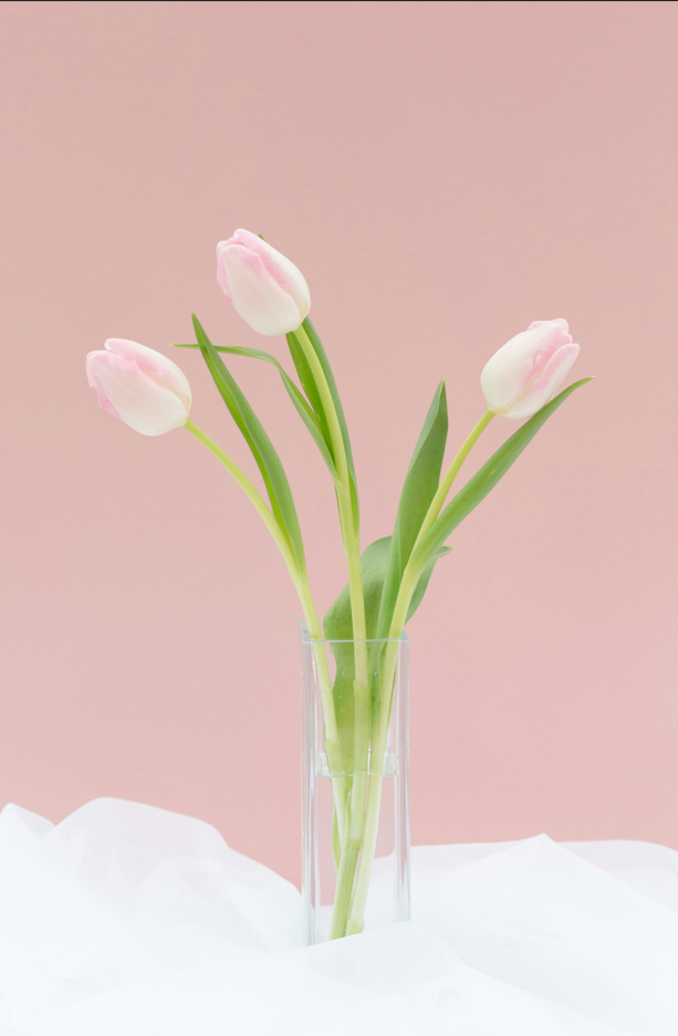 20240202.01.png 20240202.01.png